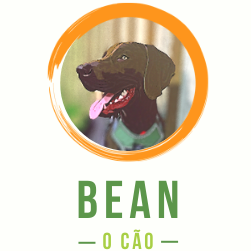 Bean o Cão
