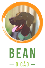 Bean o Cão